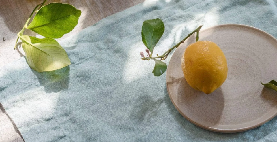 Лененени подложки за хранене