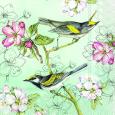 Designer Paper Napkins 20 pcs "Birds Symphony", IHR